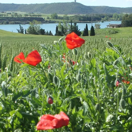 Casa Noa בית נופש *