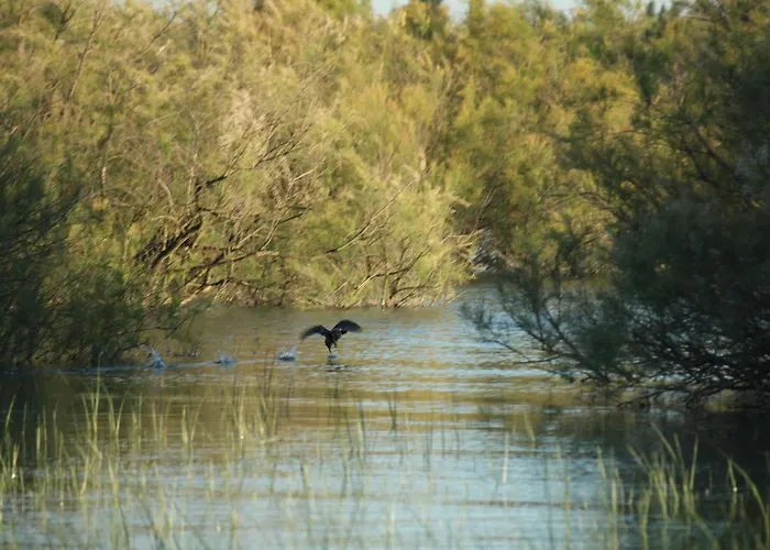Semesterbostad Casa Noa Huesca